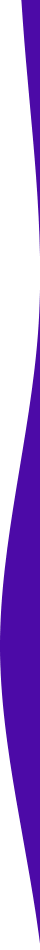 https://za-express.com/wp-content/uploads/2021/04/purple-detail-right.png