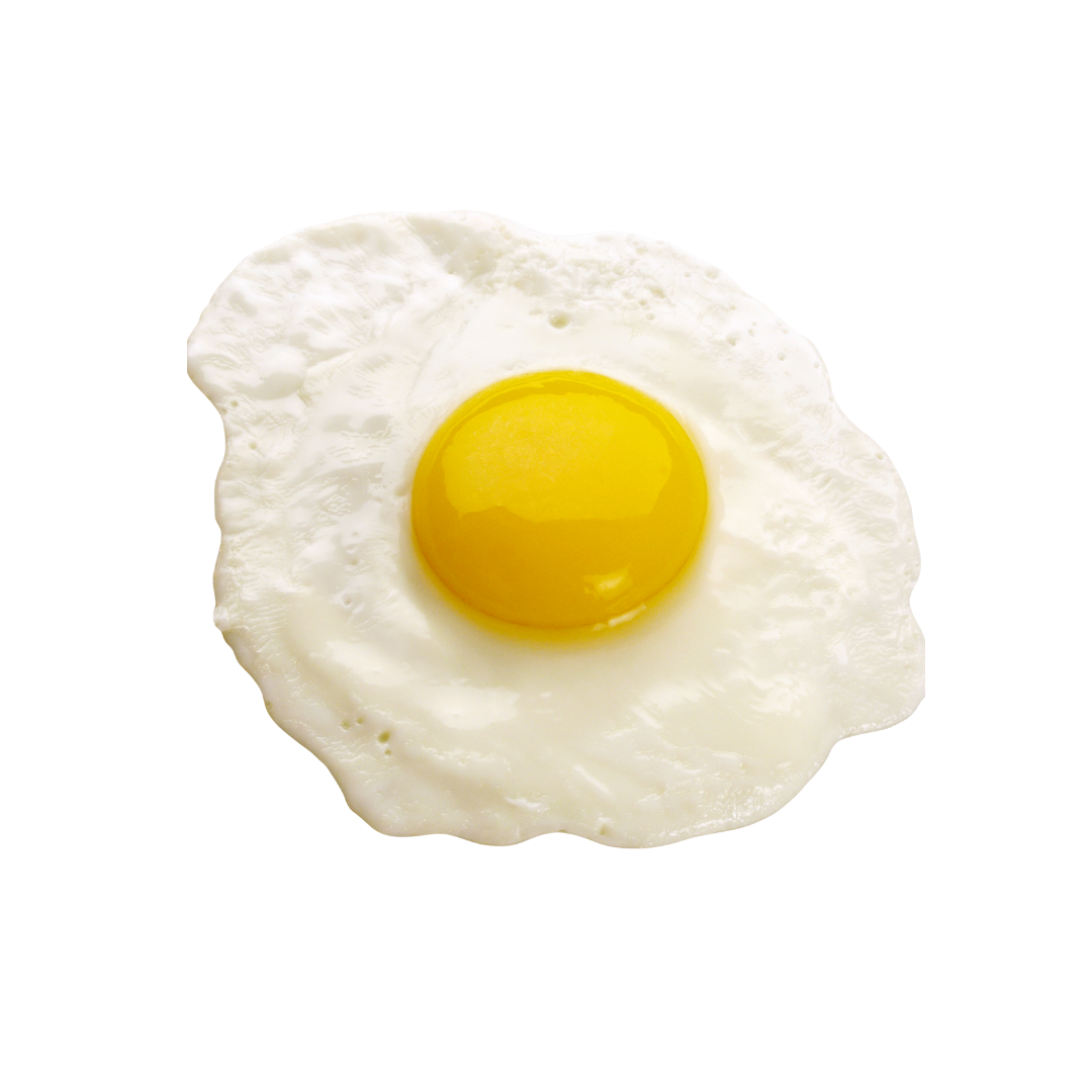fried egg