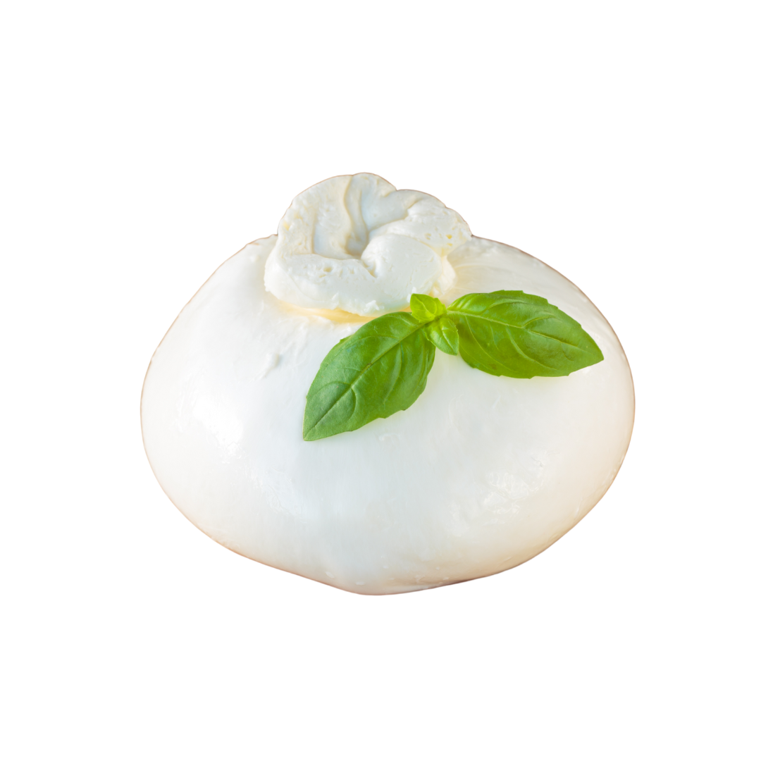 mozzarella