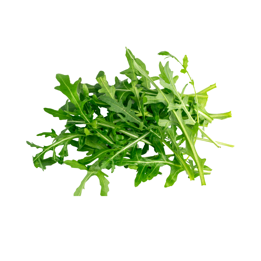 rucola